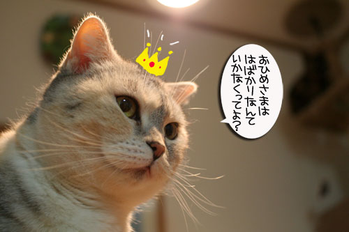 つれション・・・いっとく?&写真展のお知らせ>ウチじゃないよ_d0355333_16424610.jpg