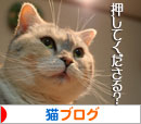にゃん友考えよう環境問題_d0355333_16424667.jpg