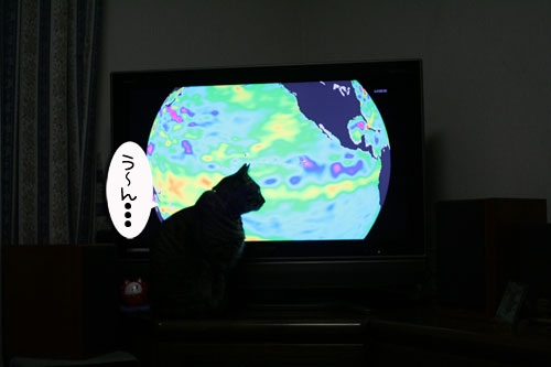 にゃん友考えよう環境問題_d0355333_16424897.jpg
