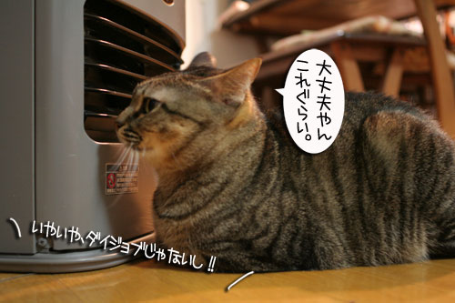 不思議の世界へようこそ_d0355333_16430102.jpg