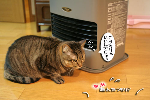 不思議の世界へようこそ_d0355333_16430226.jpg
