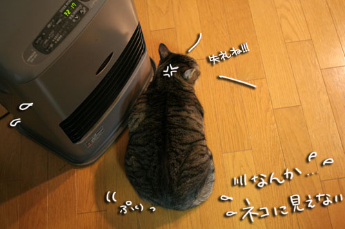 不思議の世界へようこそ_d0355333_16430267.jpg
