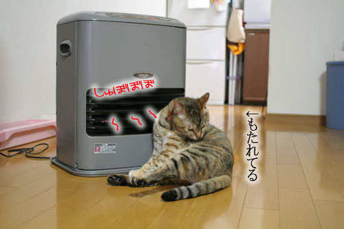 不思議の世界へようこそ_d0355333_16430482.jpg