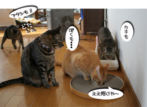B型の血が騒ぐ!_d0355333_16430609.jpg