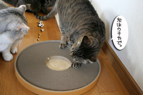 B型の血が騒ぐ!_d0355333_16430752.jpg