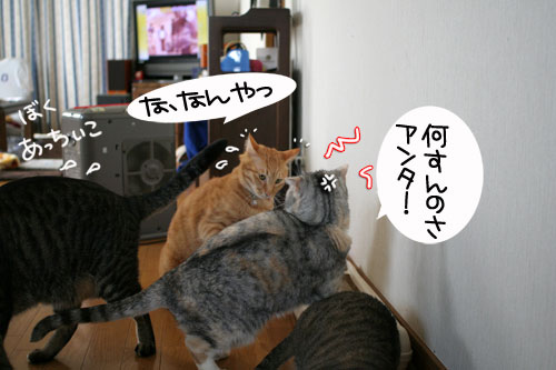 B型の血が騒ぐ!_d0355333_16430897.jpg