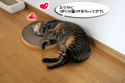 B型の血が騒ぐ!_d0355333_16430965.jpg
