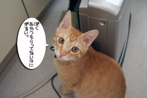 チャックの正式譲渡_d0355333_16431764.jpg