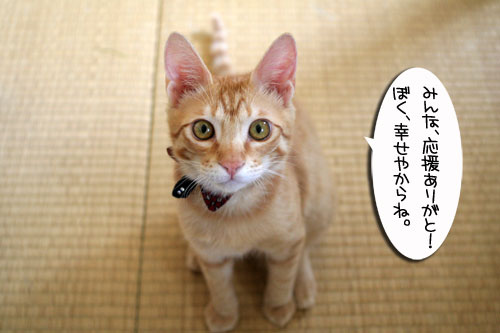 チャックの正式譲渡_d0355333_16431991.jpg