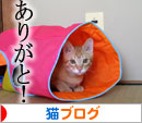 チャックの正式譲渡_d0355333_16432050.jpg