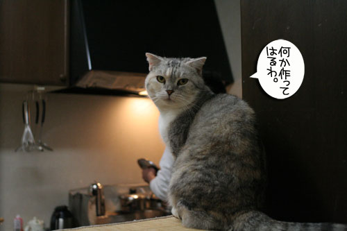 猛ダッシュと熱い視線_d0355333_16434559.jpg
