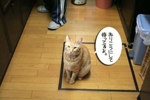猛ダッシュと熱い視線_d0355333_16434847.jpg
