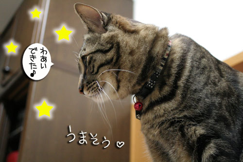 猛ダッシュと熱い視線_d0355333_16435052.jpg