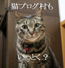 猛ダッシュと熱い視線_d0355333_16435129.jpg