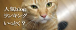 猛ダッシュと熱い視線_d0355333_16435130.jpg