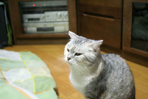 猛ダッシュと熱い視線_d0355333_16435491.jpg