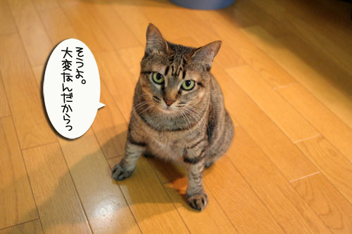位置関係は決まっている_d0355333_16435628.jpg