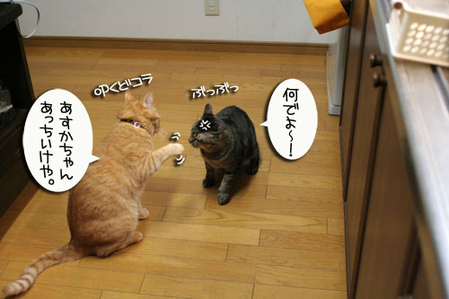 位置関係は決まっている_d0355333_16435756.jpg