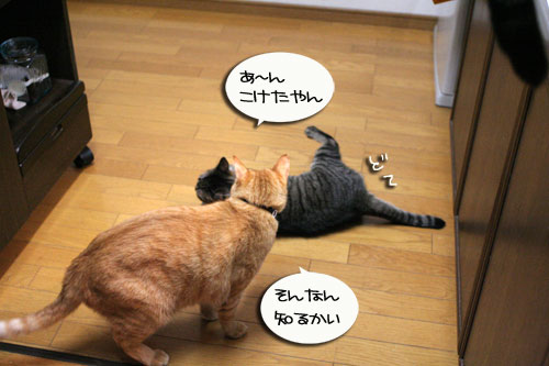 位置関係は決まっている_d0355333_16435873.jpg