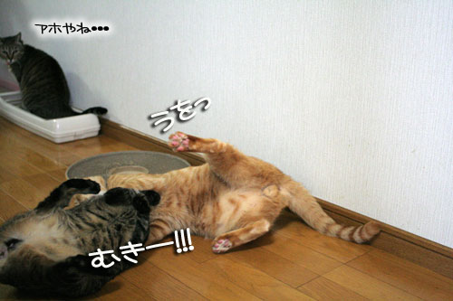 位置関係は決まっている_d0355333_16435916.jpg