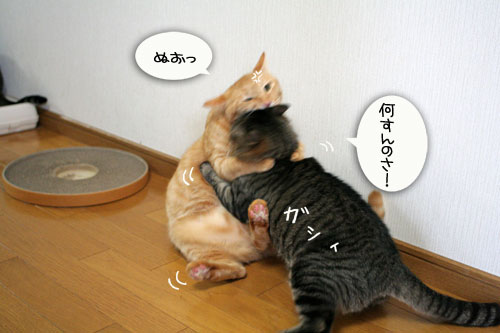 位置関係は決まっている_d0355333_16435968.jpg