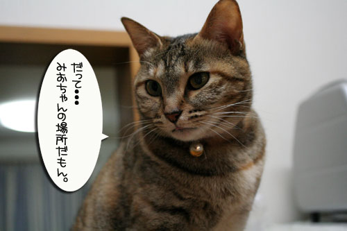 位置関係は決まっている_d0355333_16440000.jpg