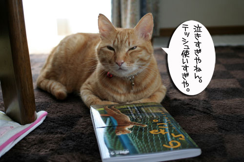 「のらねこ。」発売★朝から滂沱の涙_d0355333_16441608.jpg