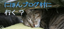 「のらねこ。」発売★朝から滂沱の涙_d0355333_16441736.jpg