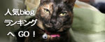 「のらねこ。」発売★朝から滂沱の涙_d0355333_16441781.jpg