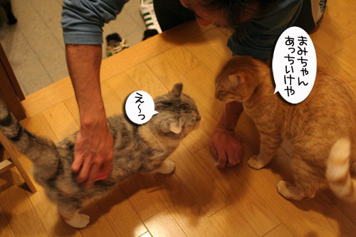 抜け毛の季節★掃除機爆発!_d0355333_16442205.jpg