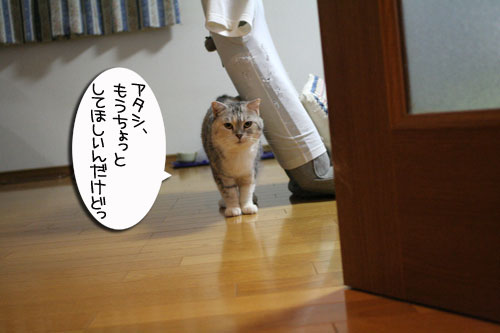 抜け毛の季節★掃除機爆発!_d0355333_16442487.jpg