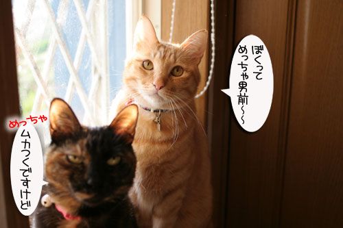 朝の光と指定席_d0355333_16444190.jpg
