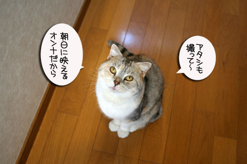 朝の光と指定席_d0355333_16444248.jpg