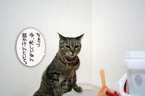 女子としてどうなの?_d0355333_16444474.jpg