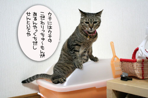 女子としてどうなの?_d0355333_16444584.jpg