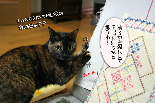 女子としてどうなの?_d0355333_16444591.jpg