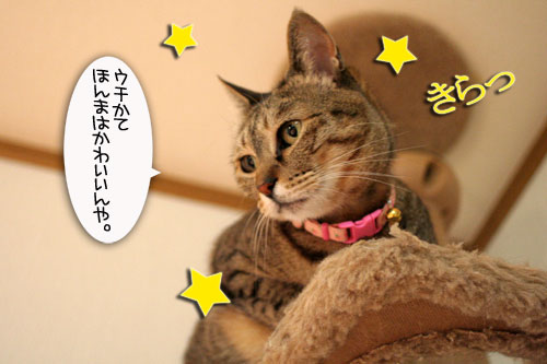 女子としてどうなの?_d0355333_16444664.jpg