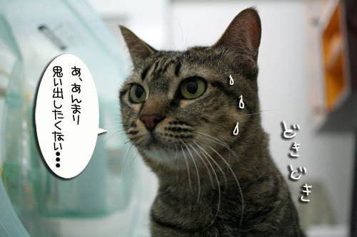 今日は病院_d0355333_16445841.jpg