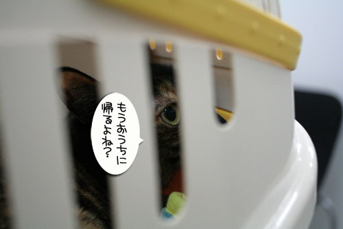 今日は病院_d0355333_16445944.jpg