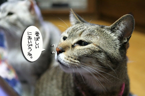 変顔道が止まらない!_d0355333_16450159.jpg