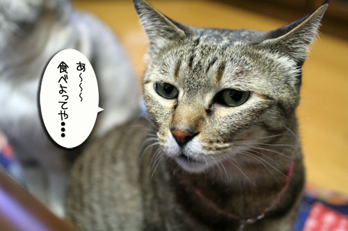 変顔道が止まらない!_d0355333_16450168.jpg