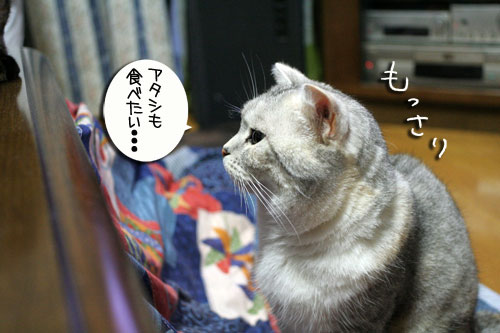 変顔道が止まらない!_d0355333_16450361.jpg