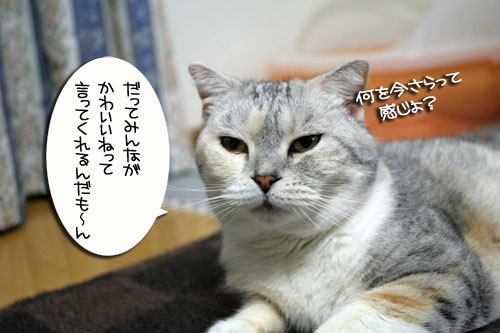 よくみてあげてね_d0355333_16452568.jpg