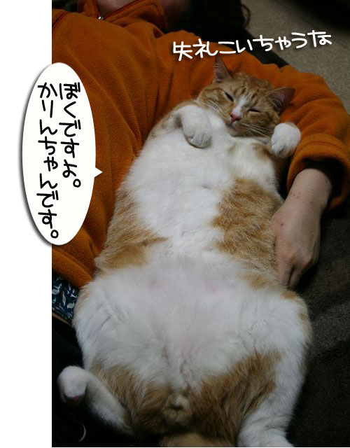 でぶちん街道へGO=33_d0355333_16452937.jpg