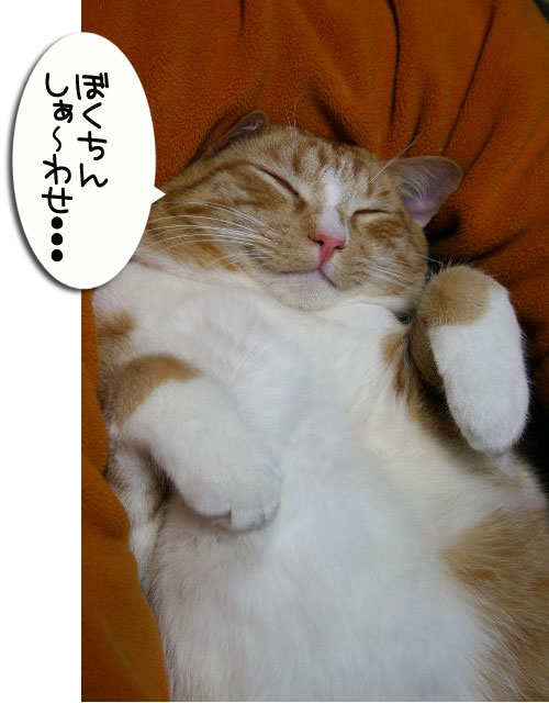 でぶちん街道へGO=33_d0355333_16452984.jpg