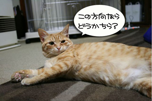でぶちん街道へGO=33_d0355333_16452993.jpg