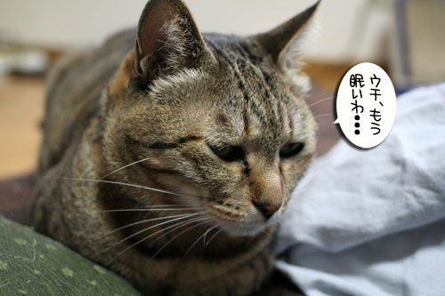 でぶちん街道へGO=33_d0355333_16453432.jpg