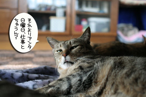 もらって嬉しい・・・_d0355333_16454199.jpg
