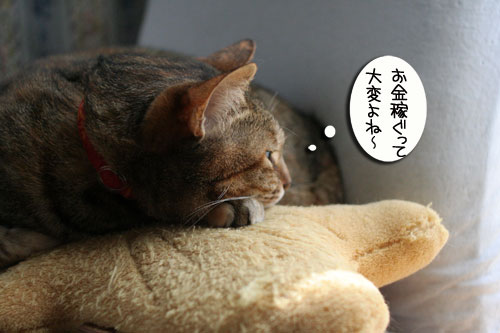 もらって嬉しい・・・_d0355333_16454271.jpg