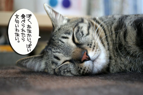 もらって嬉しい・・・_d0355333_16454302.jpg